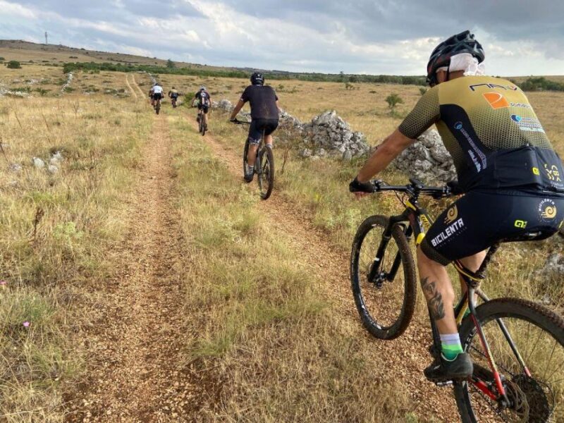 Puglia/Bari: Bike Tour in Forest & Focaccia - Inclusions