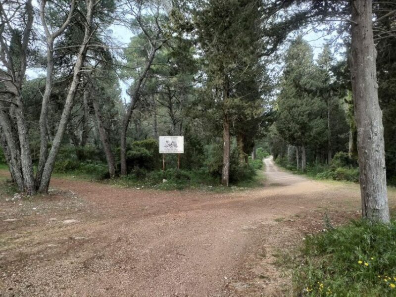 Puglia/Bari: Bike Tour in Forest & Focaccia - Booking and Cancellation Policy
