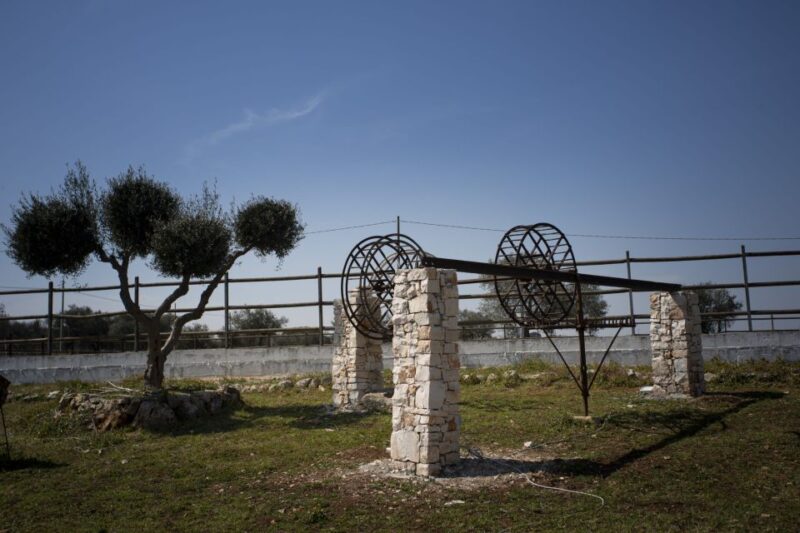 Puglia/Bari: Ebike Tour & Wine - Inclusions and Requirements