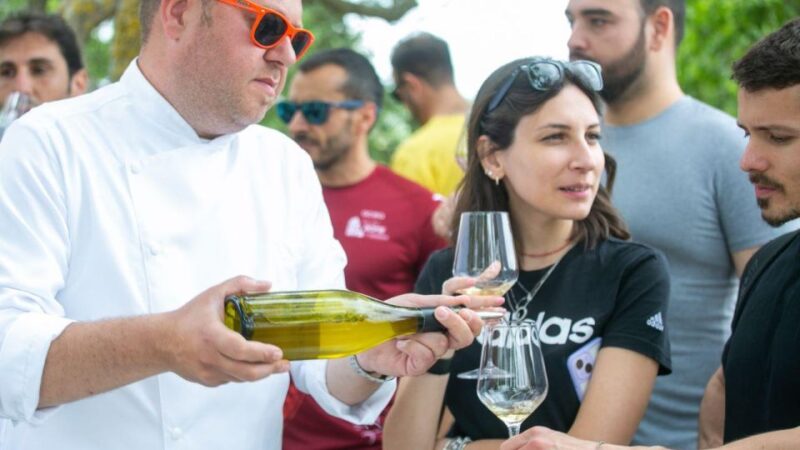 Puglia/Bari: Primitive Wine Tasting in Gioia Del Colle - Tasting Notes and Characteristics
