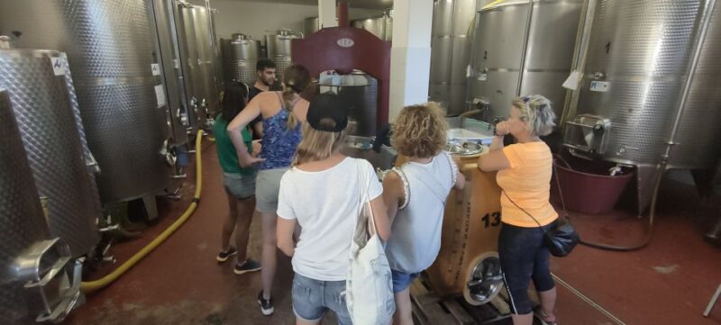 Puglia/Bari: Primitive Wine Tasting in Gioia Del Colle - Local Food Pairings
