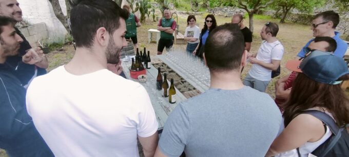 Puglia/Bari: Primitive Wine Tasting in Gioia Del Colle - Recap