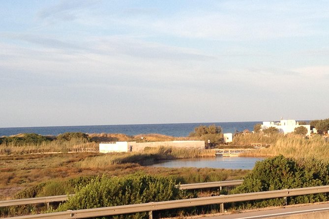 Puglia Bike Tour: Cycling Through the History of Extra Virgin Olive Oil - Additional Information