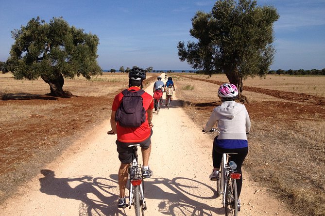 Puglia Bike Tour: Cycling Through the History of Extra Virgin Olive Oil - Cancellation Policy