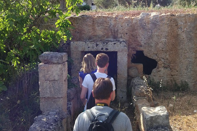 Puglia Bike Tour: Cycling Through the History of Extra Virgin Olive Oil - Exploring Olive Fields