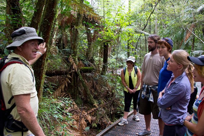 Puketi Rainforest Guided Walks .This Is Not a Shore Excursion Product . - Tour Details