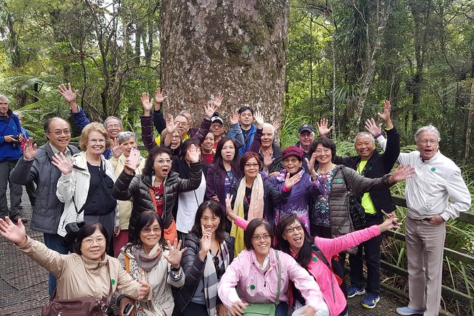 Puketi Rainforest Guided Walks .This Is Not a Shore Excursion Product . - Hiking Difficulty and Fitness