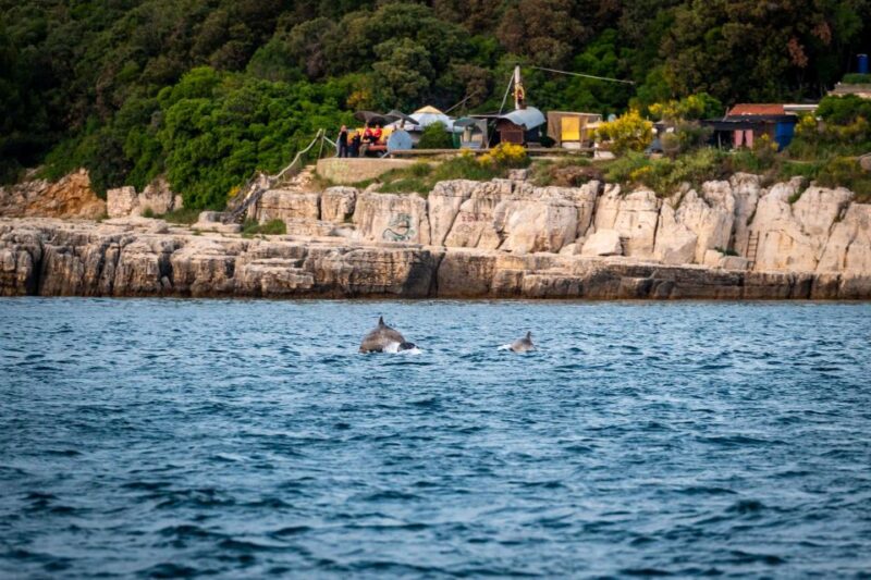 Pula: Brijuni National Park Sunset, Dolphins & Dinner Cruise - Pricing and Booking Information