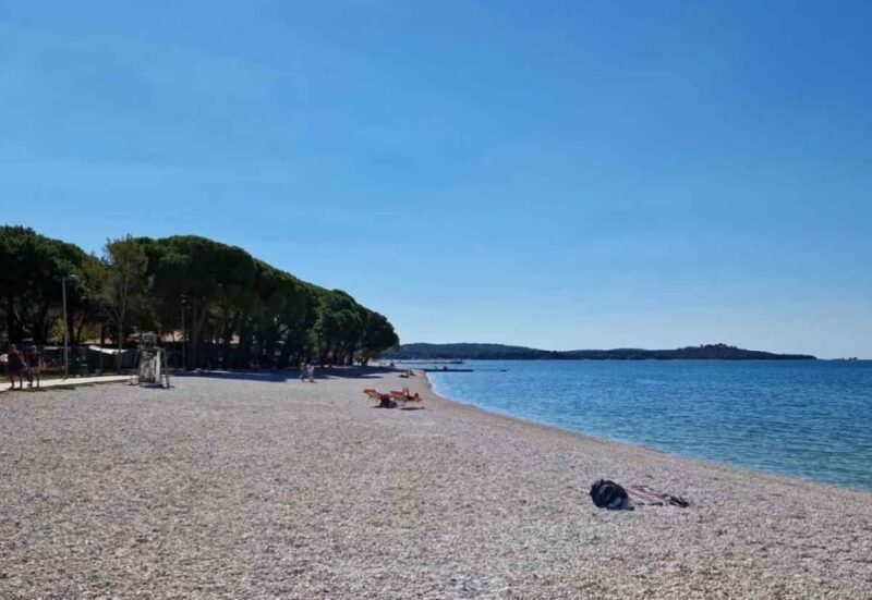 Pula: Brijuni National Park & Swimming Tour (in Fažana) - Accessibility and Languages