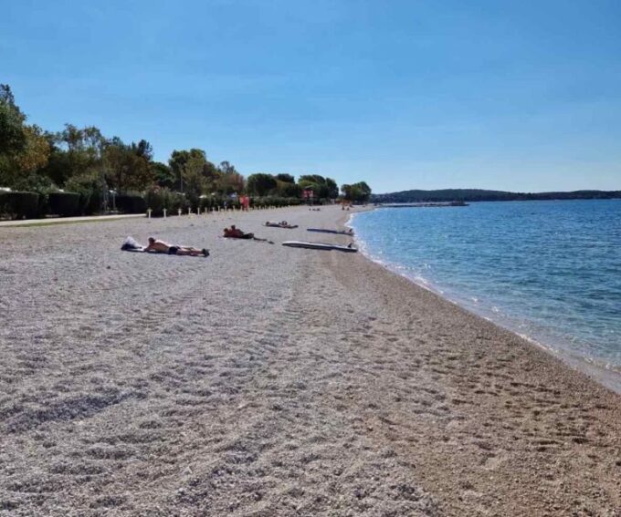 Pula: Brijuni National Park & Swimming Tour (in Fažana) - Customer Feedback and Ratings
