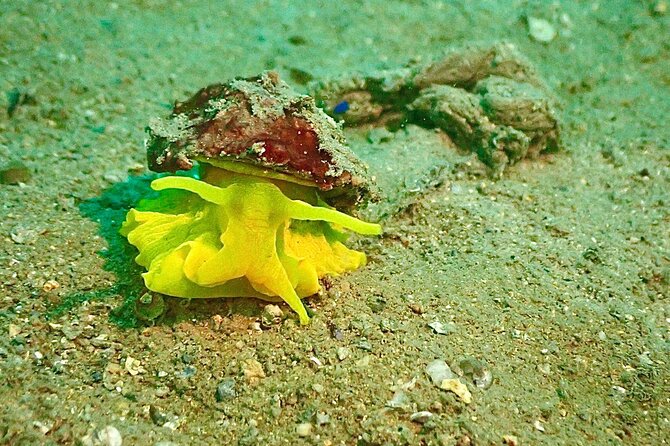 Pula Discover Scuba Diving Package - Included Equipment and Transfers