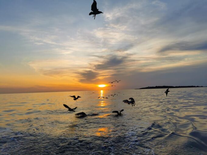 Pula: Dolphin Sunset Cruise on Traditional Wooden Boat - Visitor Information