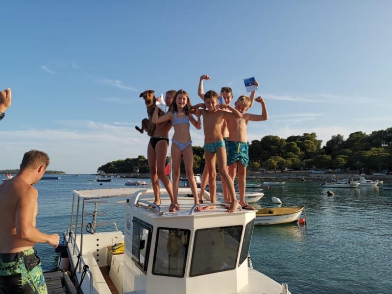 Pula Dolphin Watching Boat Trip - Dolphin Watching Details