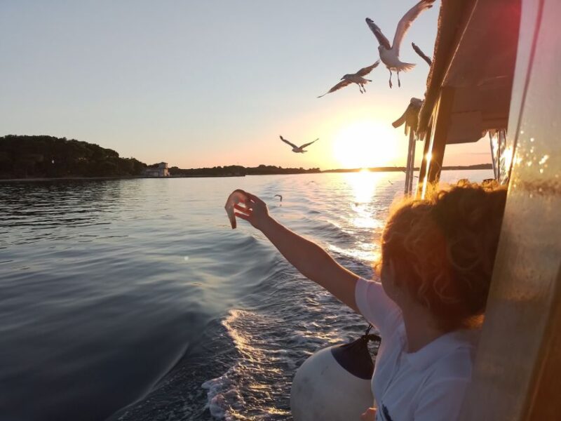 Pula: Dolphin-Watching Cruise at Sunset With Dinner & Drinks - Inclusions and Exclusions
