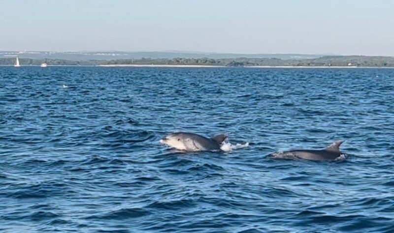 Pula: Dolphin-Watching Cruise at Sunset With Dinner & Drinks - Weather Considerations
