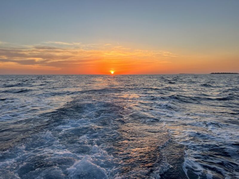Pula: Dolphin Watching Sunset Cruise With Dinner & Drinks - Meeting Point and Recommendations