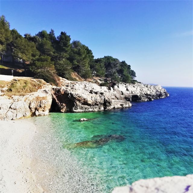 Pula: Electric Bike Sightseeing Tour - Participant Requirements