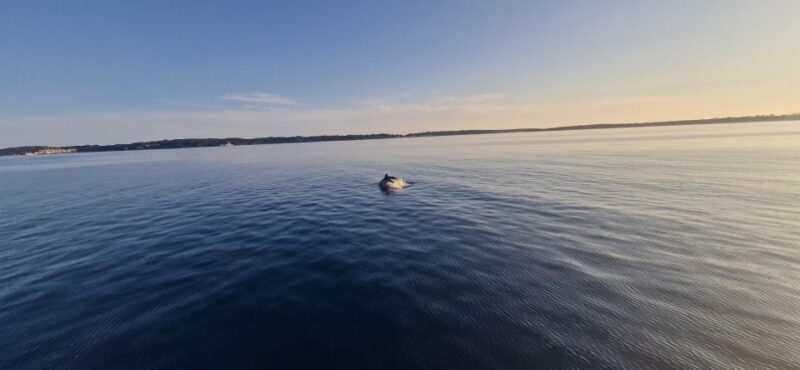 Pula: Half or Full Day Boat Tour on Yacht With Skipper - Good To Know