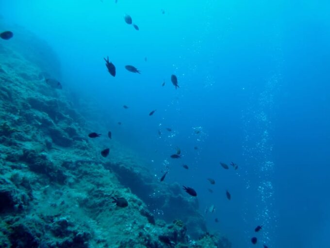 Pula: Introduction to Scuba Diving - Frequently Asked Questions