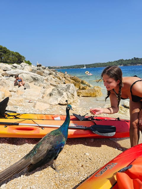 Pula: Island St. Jerolim and Kozada Kayak Tour - Tour Details