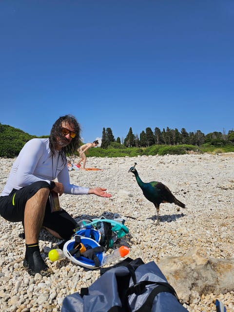 Pula: Island St. Jerolim and Kozada Kayak Tour - Inclusions and Requirements