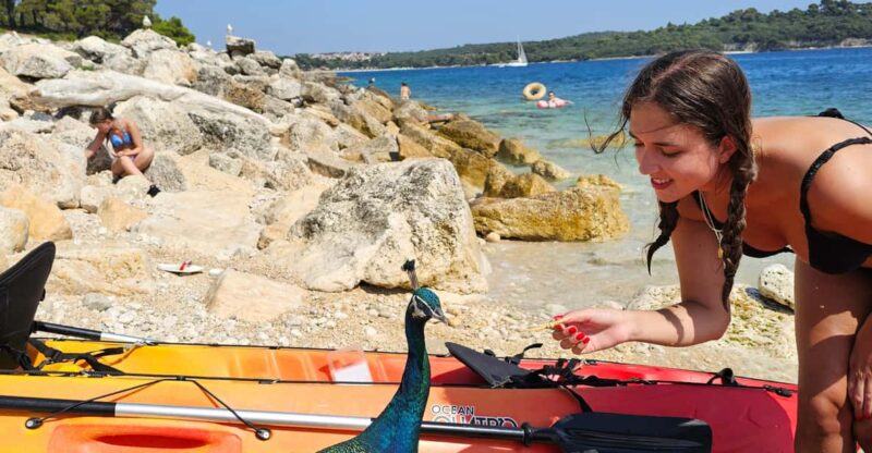 Pula: Island St. Jerolim and Kozada Kayak Tour - Preparation and Meeting Information