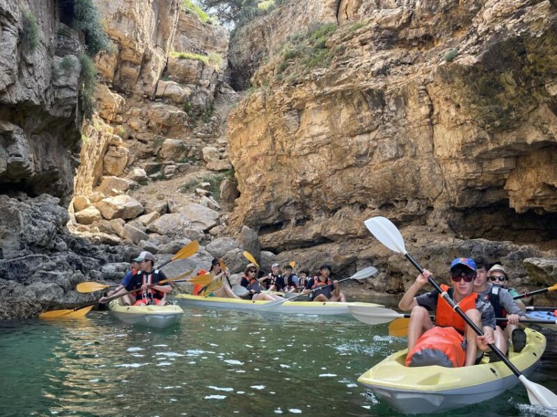 Pula: Island&Canyon Kayak Tour, Snorkeling and Cliff Jumping - Inclusions