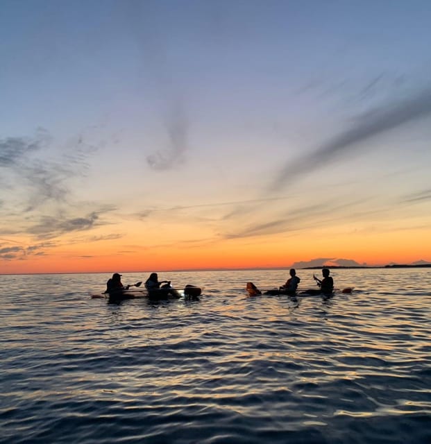 Pula: Istria Sea Canyon Illuminated Kayak Tour by Night - Inclusions