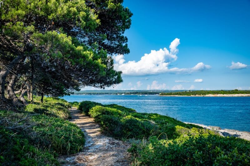 Pula: National Park Brijuni Cruise With Lunch and Drinks - Free Time at St. Jerolim
