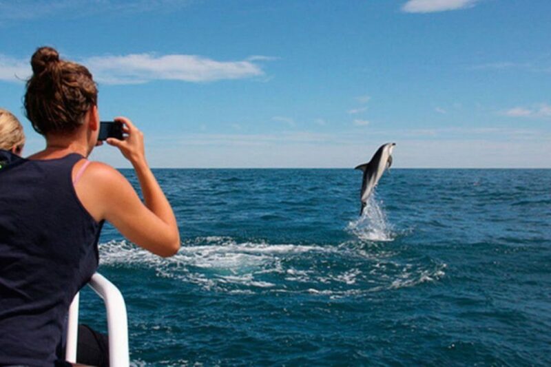 Pula: National Park Brijuni Island Visit & Dolphin Cruise - Good To Know