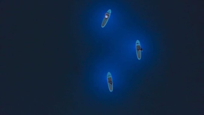 Pula: Night LED Stand-Up Paddle Board Tour - Frequently Asked Questions