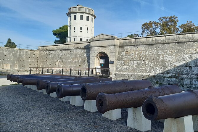 Pula Private 2-Hour Guided Walking Tour - Accessibility and Information