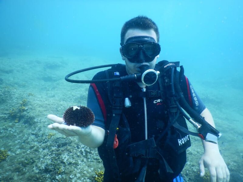 Pula: Private Introduction to Scuba Diving - Training and Instruction
