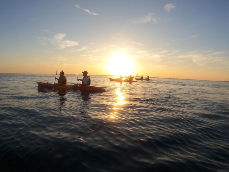Pula: Sea Cave and Cliffs Guided Kayak Tour in Pula - Good To Know