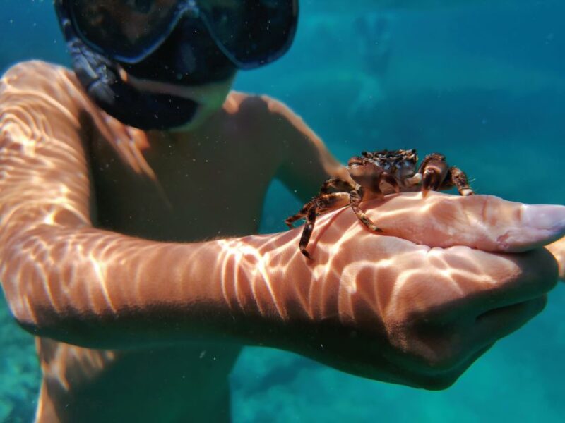 Pula: Sea Cave Kayak Adventure, Snorkeling and Cliff Jumping - Customer Reviews and Ratings