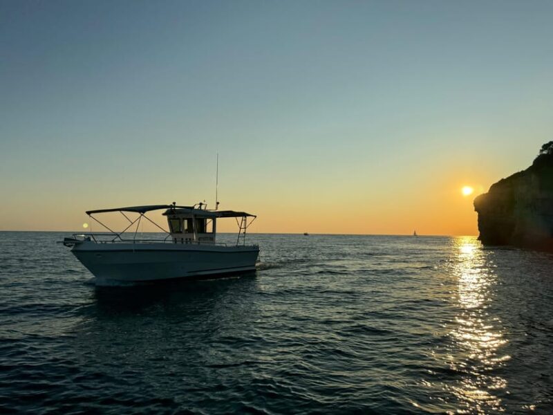 Pula: Sunset Dolphin Watching Boat Tour Around N.P Brijuni - Meeting Point
