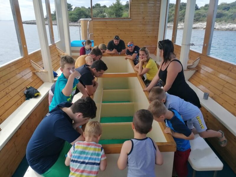 Pula Verudela: Glass-Bottom Boat and Swim With Fish Tour - Good To Know