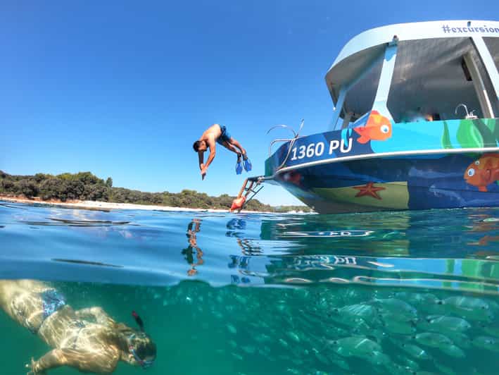 Pula Verudela: Glass-Bottom Boat and Swim With Fish Tour - Customer Reviews and Ratings