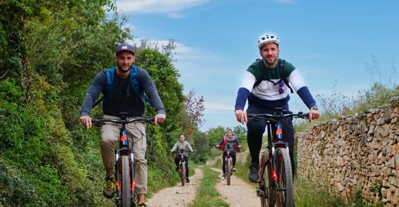 Pula-Vodnjan-Rovinj: E-Bike Tour With Traditional Dinner - Good To Know