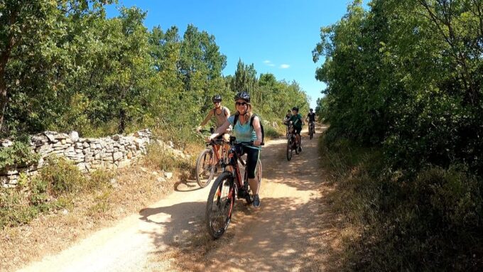 Pula-Vodnjan-Rovinj: E-Bike Tour With Traditional Dinner - Customer Reviews