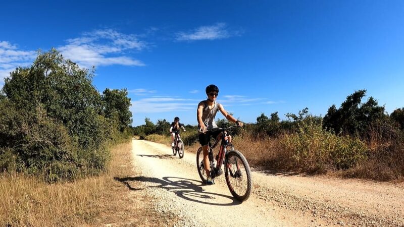 Pula-Vodnjan-Rovinj: E-Bike Tour With Wine Tasting - Itinerary Details