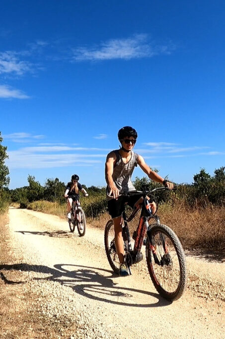 Pula-Vodnjan-Rovinj: E-Bike Tour With Wine Tasting - Customer Reviews