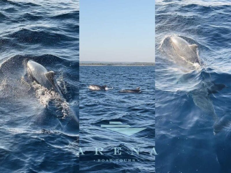 Pula:FANTASTIC DOLPHIN SUNSET TOUR,DINNER & DRINKS( BRIJUNI) - Inclusions