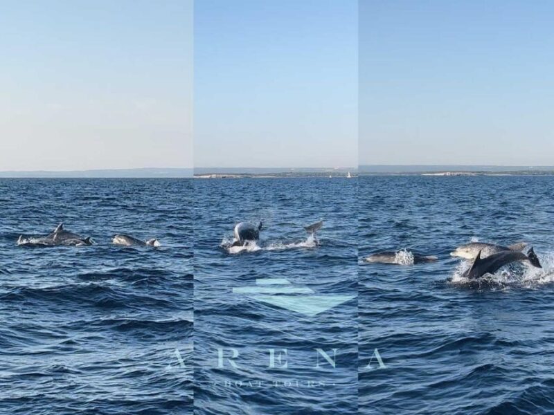 Pula:FANTASTIC DOLPHIN SUNSET TOUR,DINNER & DRINKS( BRIJUNI) - Customer Reviews