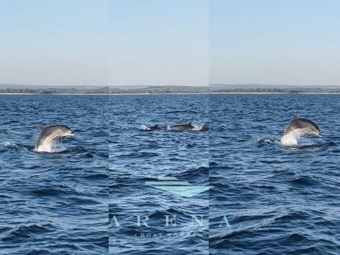 Pula:FANTASTIC DOLPHIN SUNSET TOUR,DINNER & DRINKS( BRIJUNI) - Pricing and Availability