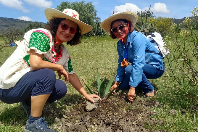 Pulque Tour in Tepotzotlán, Magical Town - Meeting the Local Guide
