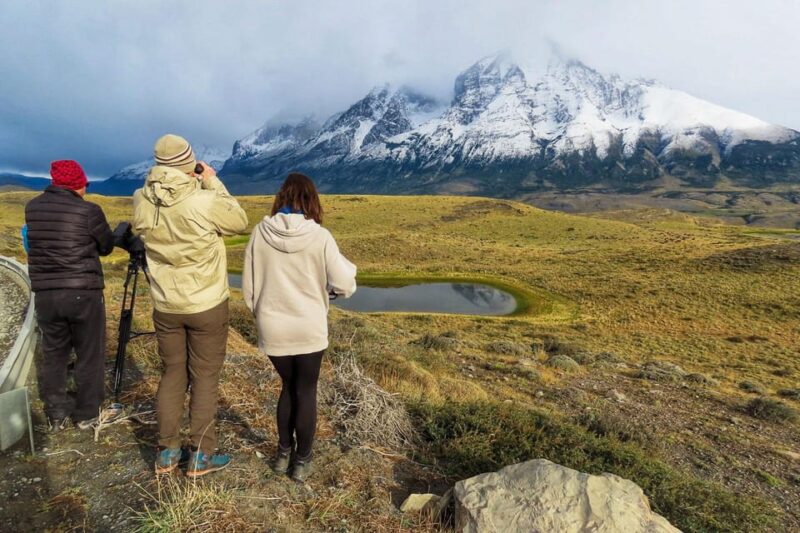 Puma Safari - Torres Del Paine - Experience Highlights