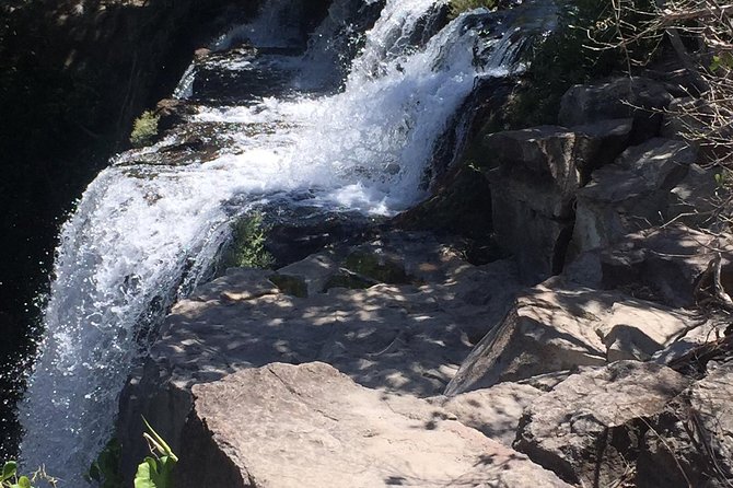 Pumas Rescue Center & Llanos Del Cortes Waterfall Swimming - Accessibility and Participation
