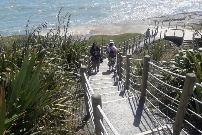Punakaiki Blow Holes & Pancake Rocks Scenic Tour - Location and Accessibility