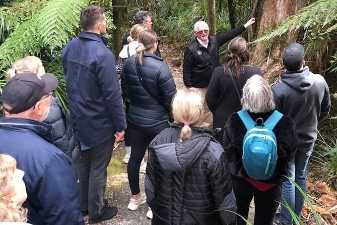 Punakaiki Blow Holes & Pancake Rocks Scenic Tour - Guided Experience